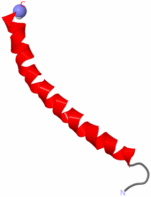 Image NMR Structure - model 1