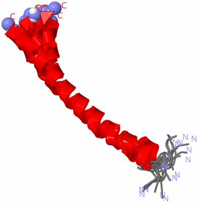 Image NMR Structure - all models