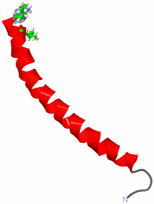 Image NMR Structure - model 1, sites