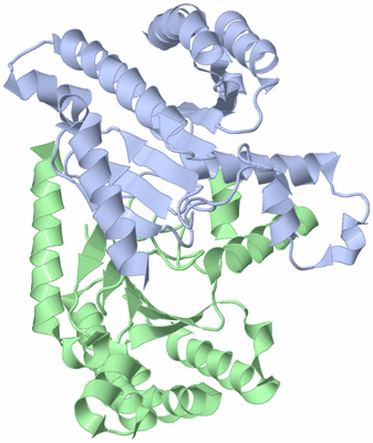 Image Asym./Biol. Unit