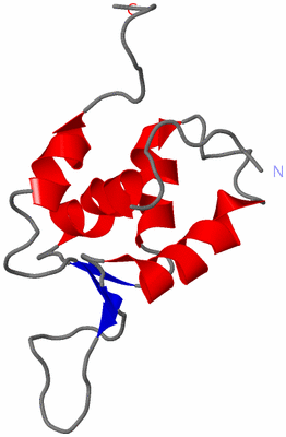 Image NMR Structure - model 1