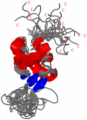 Image NMR Structure - all models