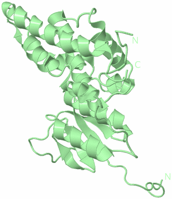 Image Biological Unit 2