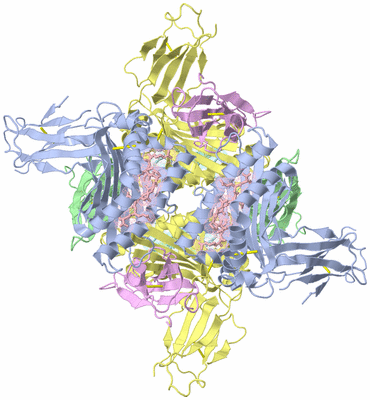 Image Biological Unit 1