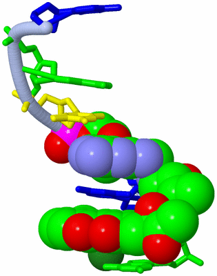 Image Asymmetric Unit