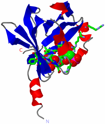 Image Asym. Unit - sites