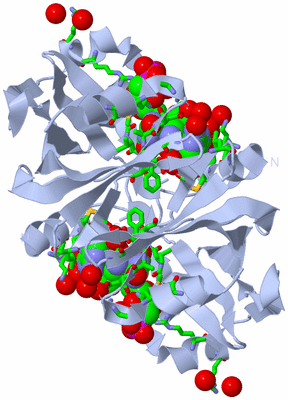 Image Biol. Unit 1 - sites