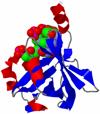 Image Asymmetric Unit