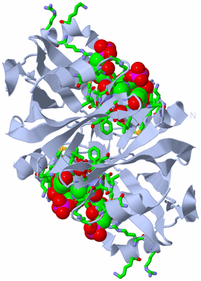 Image Biol. Unit 1 - sites