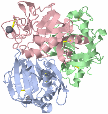 Image Asym./Biol. Unit