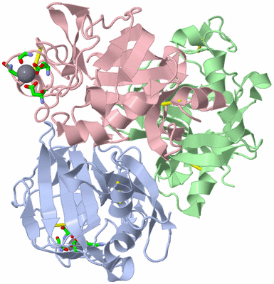 Image Asym./Biol. Unit - sites