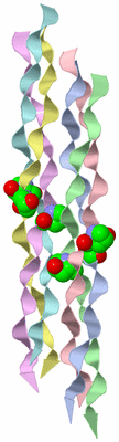 Image Asymmetric Unit