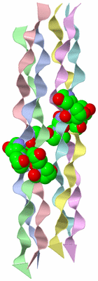 Image Asymmetric Unit