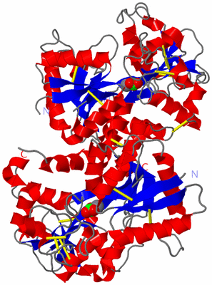 Image Asym./Biol. Unit