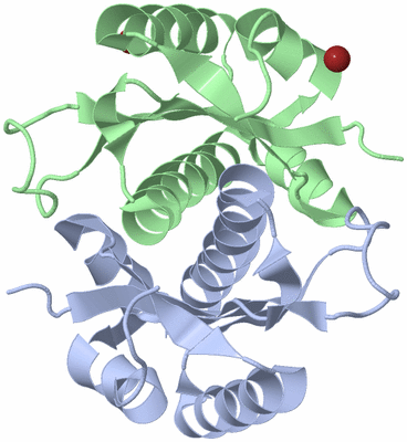 Image Asym./Biol. Unit