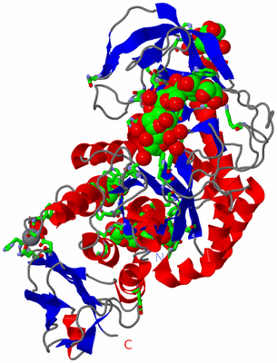 Image Asym./Biol. Unit - sites