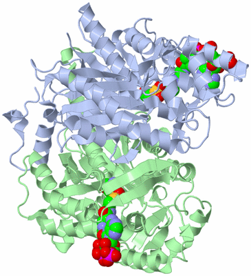 Image Asym./Biol. Unit