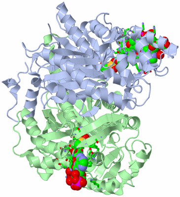 Image Asym./Biol. Unit - sites