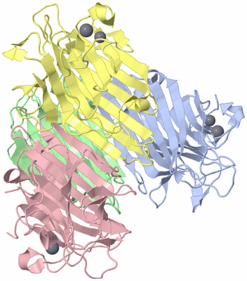 Image Asym./Biol. Unit