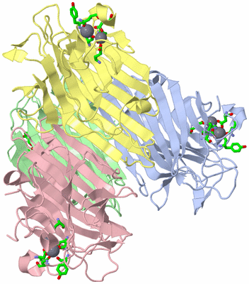 Image Asym./Biol. Unit - sites