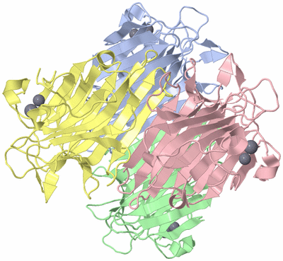 Image Asym./Biol. Unit