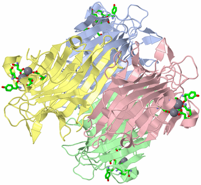 Image Asym./Biol. Unit - sites