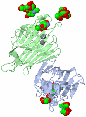 Image Biological Unit 1