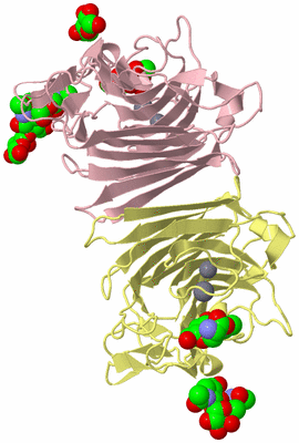 Image Biological Unit 2