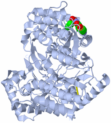 Image Biological Unit 1