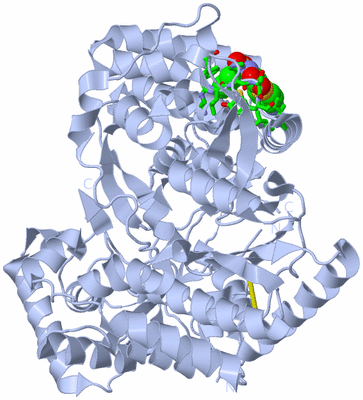 Image Biol. Unit 1 - sites