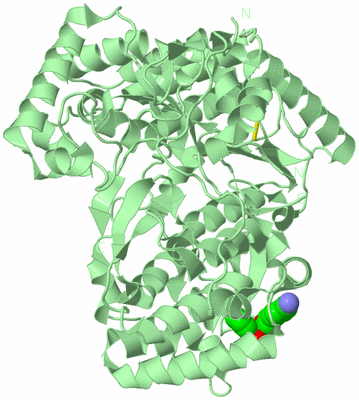 Image Biological Unit 2