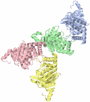 Image Asym./Biol. Unit