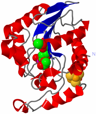 Image Asym./Biol. Unit