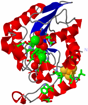 Image Asym./Biol. Unit - sites