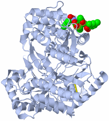 Image Biological Unit 1