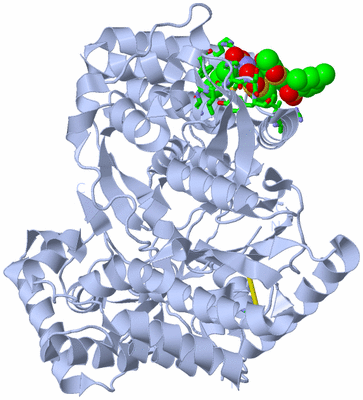 Image Biol. Unit 1 - sites