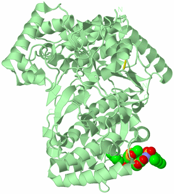 Image Biological Unit 2