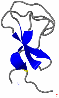 Image NMR Structure - model 1