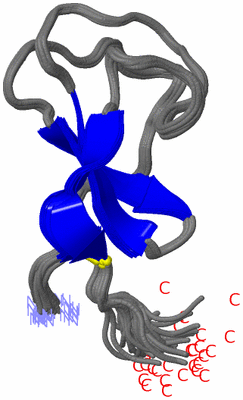 Image NMR Structure - all models