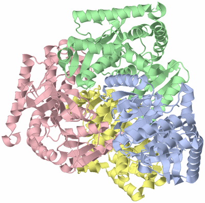 Image Asym./Biol. Unit