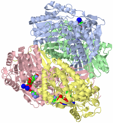 Image Asym./Biol. Unit