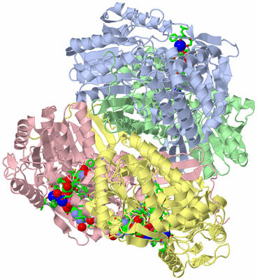 Image Asym./Biol. Unit - sites