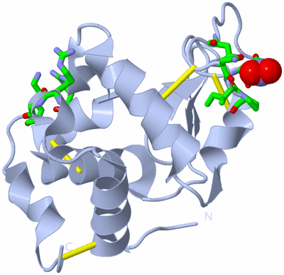 Image Biol. Unit 1 - sites