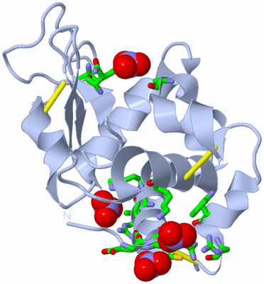 Image Biol. Unit 1 - sites