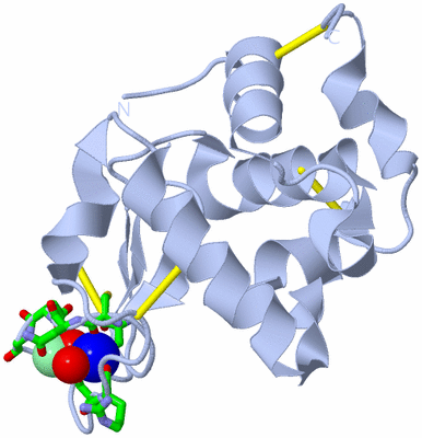 Image Biol. Unit 1 - sites