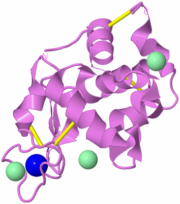 Image Biological Unit 2