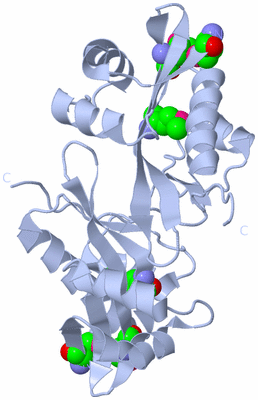 Image Biological Unit 2