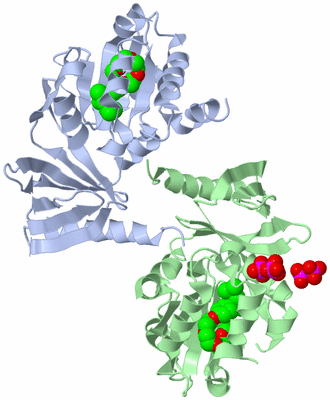 Image Asym./Biol. Unit