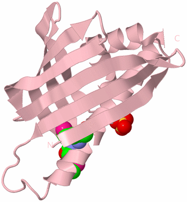 Image Biological Unit 3