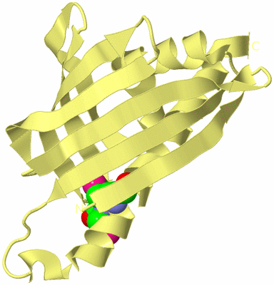 Image Biological Unit 4